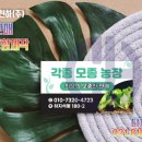 동두천야채과일