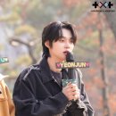 미니모아 이미지