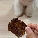 모찌애견샵 | 검단 강아지도 반한 애견 수제 간식 무인샵 &#39;몽고메&#39; 방문후기