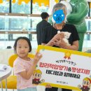 대구강아지분양 테디럽 이미지