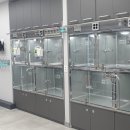민들레동물병원 네이버블로그