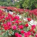 아름다운밀양농장 이미지