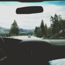 붕붕나라 이미지