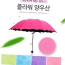 양산 이미지