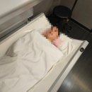 천안 주짓수 다이어트 PT | 천안 주짓수 힘들어서 쥬비스 천안점에서 누워서 복부둘레 8.8cm 감량 했어요