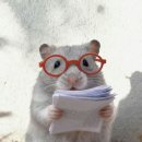 이성운수 | 내돈내산 최고의 인터넷 사주/운세 맛집을 찾기 위한 리뷰 대장정 (2026.03.09 Updated)