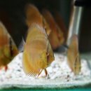 동글동글 이미지