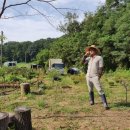 대공농장 이미지