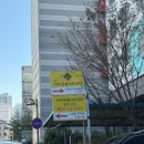 동탄시티동물의료센터 이미지