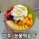 송이분식 | 양주 빙수ㅣ광사동 빙수 맛집 눈꽃 떡송이 내돈내산 후기