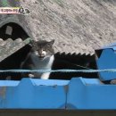 우정농장 이미지