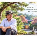 【윤승원 폰카 에세이】 솔숲에서 부처님을 뵙네 이미지