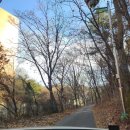 분당-238 이미지