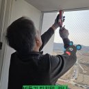 삼도드림파크경로당 | 흥해 삼도 드림파크 비둘기 퇴치망 설치. 후기