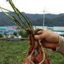 예원모텔 이미지