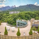 파라스파라 서울 한국경제