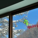 웨그(Wag) 이미지