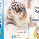 스마트덴탈 이미지