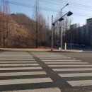 포커스 행정사 이미지