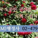 강동행정사 이미지