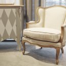 블루아라(I) 이미지