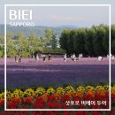 재일농원 | 8월 삿포로 비에이 투어 여행 라벤더 일본 북해도 여행