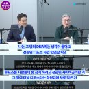 터널게이트(나) Daum카페