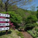 수목원박제