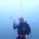 작은한개 이미지