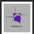 사마사마