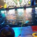 니모실내낚시터 이미지