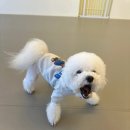 포우 파라다이스 이미지