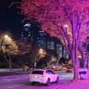 준모터스 포항 | [볼보 출고기] XC60 출고 후기, 렉서스 NX350h 비교 후 선택한 이유