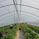 한사랑어린이집 이미지