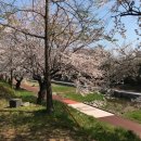 금관절경 이미지