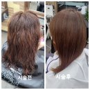 강남-062 | 🌟 극손상모 구원템! ✨ 신데렐라 크리닉 (블레이스) 솔직 후기: 찰랑이는 여신 머릿결 완성!