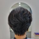 더포레헤어 이미지