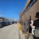 520모텔 | 2박3일 강릉-묵호 가보자고🌊