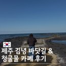 카페 청굴물 제주 김녕 <b>청굴물</b> <b>카페</b> & 김녕 바닷길 물때 간조시간