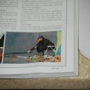 신기낚시 이미지