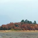 닭섬(계도)
