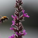 안전정보시스템 이미지