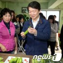 오이씨농장1 이미지