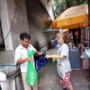 라임고양이 이미지