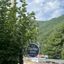 1061 | 울산 울주 배네골 다인원 팬션 배네 1061 후기