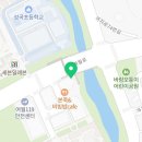 멍냥이네 가위컷 이미지