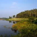 골프킹스 이미지