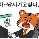피쉬실내바다낚시터 이미지