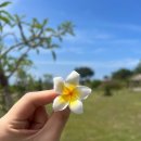 &lt;신혼여행&gt;발리 1일차