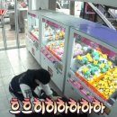 인형뽑기방 이미지